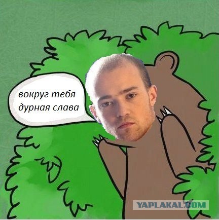 Медведи почти на все случаи жизни