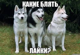 Мейл.ру объявили  о слиянии 3х соцсетей
