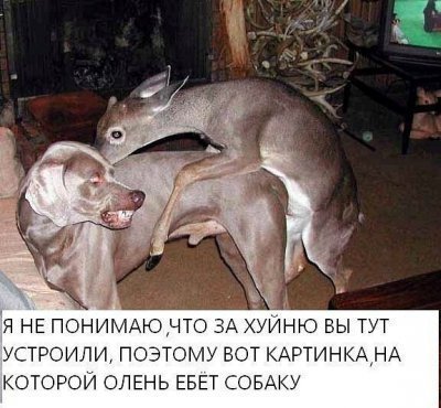 Обнаружил переписку своей жены с другом детства