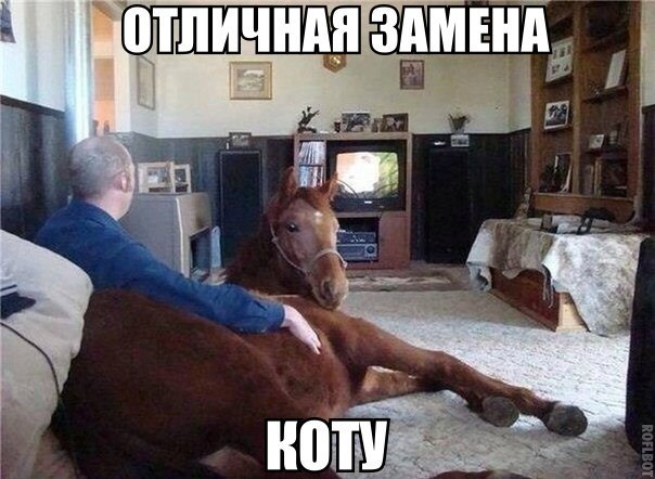 Подборка картинок