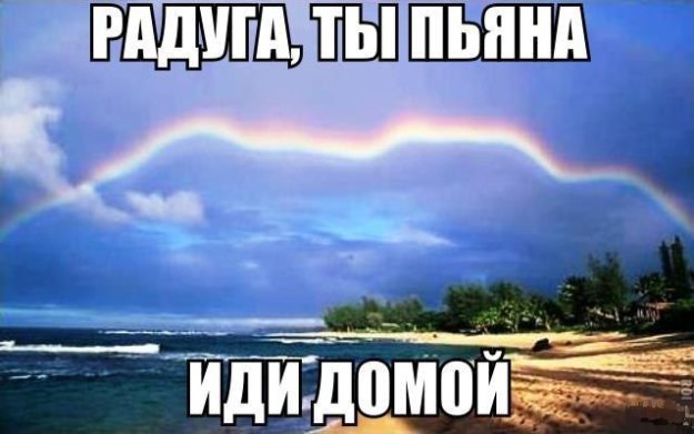Веселости которые встретились сегодня