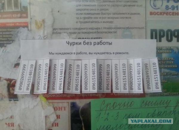 Ужасы и приколы из соцсетей 18+