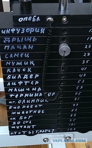 Спортивного юмора пост