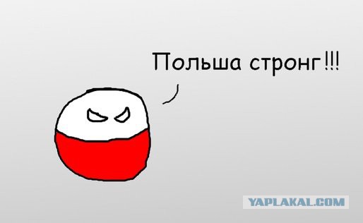 На Майдане началась драка польских и украинских