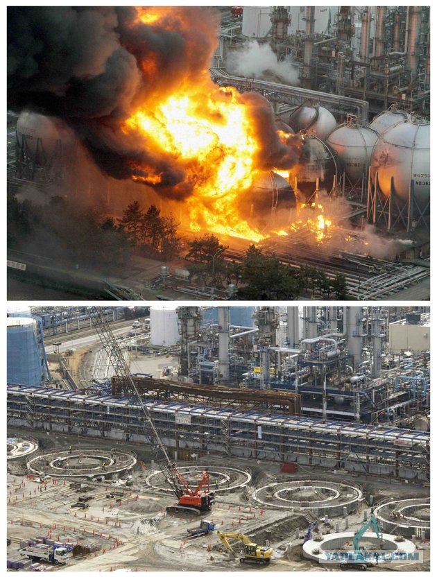 Tsunami: год спустя.
