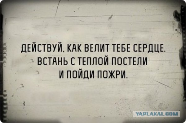Минутка черного юмора на ЯПе