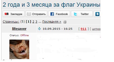 2 года и 3 месяца за флаг Украины.