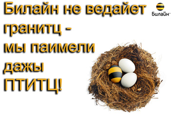 МОБИЛЬНАЯ СВЯЗЬ. Операторы, провайдеры