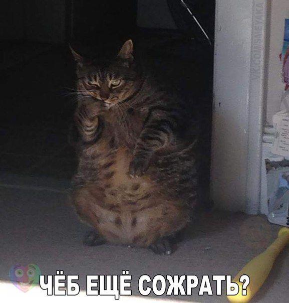 А давайте улыбнёмся