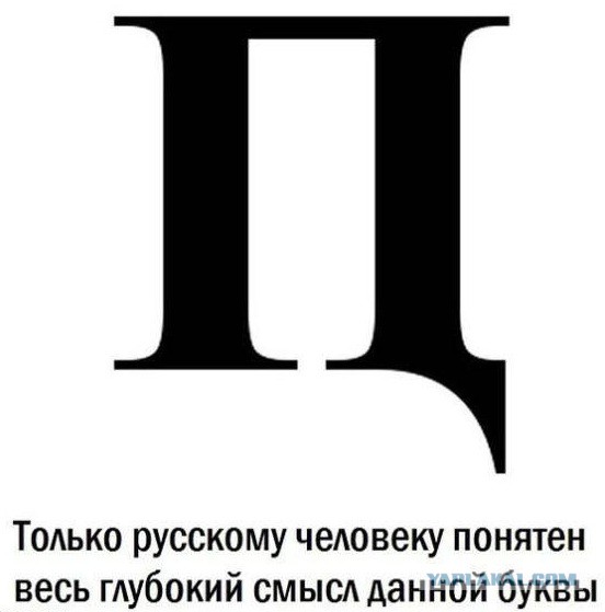 Весёлые картинки