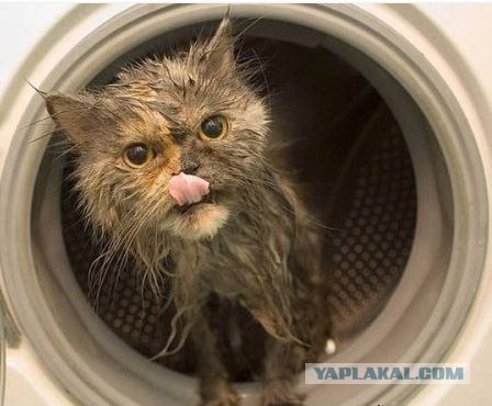 Смешные лица людей на экстремальных аттракционах