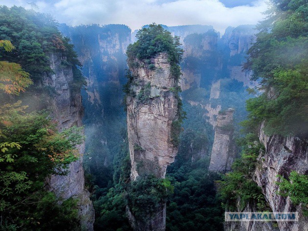 Подборка картинок 01.03.16