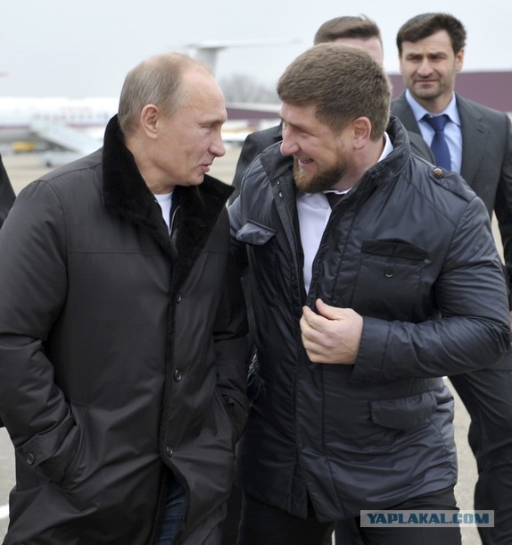 Это - их скорбь. А не наша