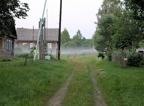 Интересные и веселые картинки