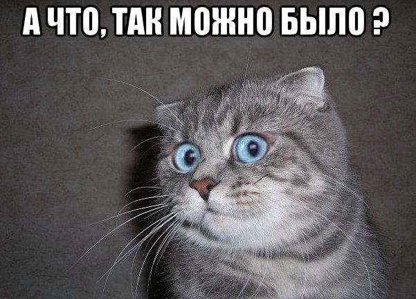 В багажнике всегда должна быть канистра!