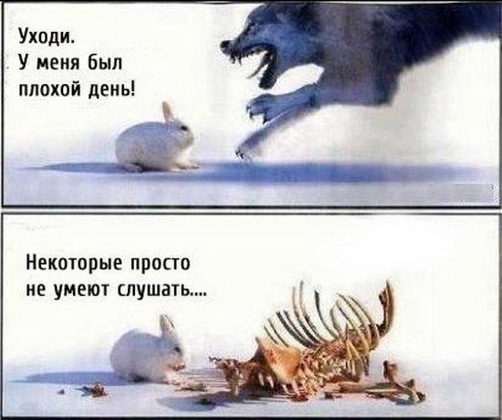 Подборка интересных и веселых фото