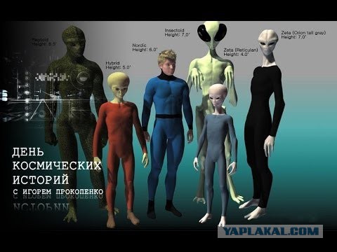 Я проведу день города в танке с Прокопенко