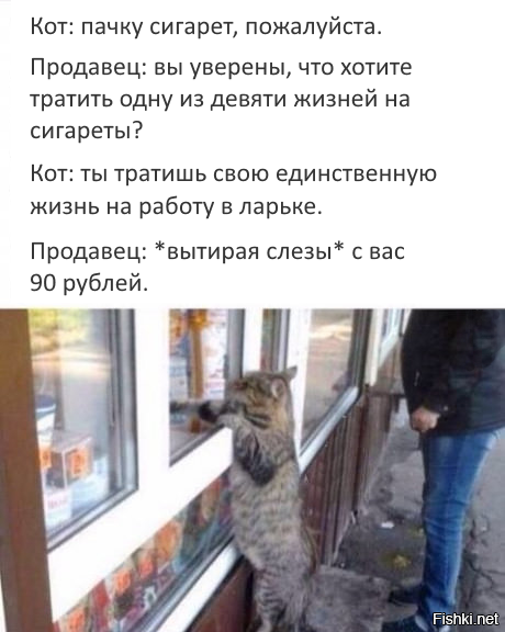 Подборка интересных и веселых картинок