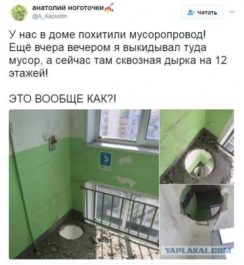 Подборка интересных и веселых картинок