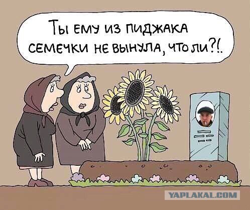 40 картинок поулыбаться