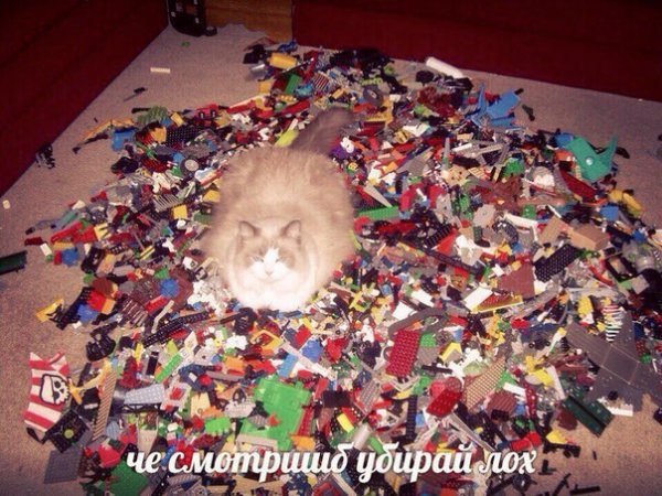 Нестандартный юмор