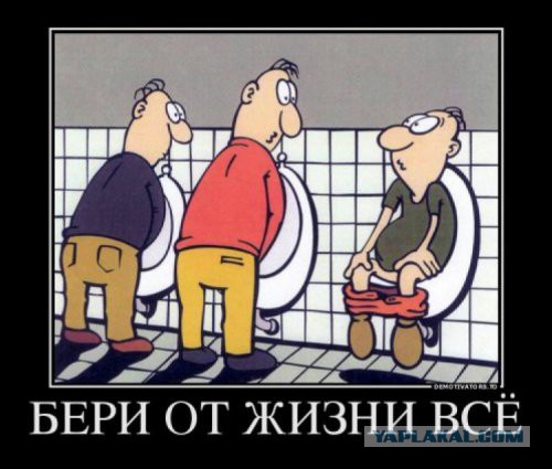 Картинки юморные и тексты
