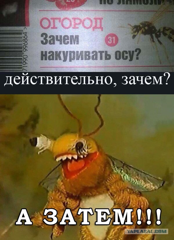 Есть пятка?