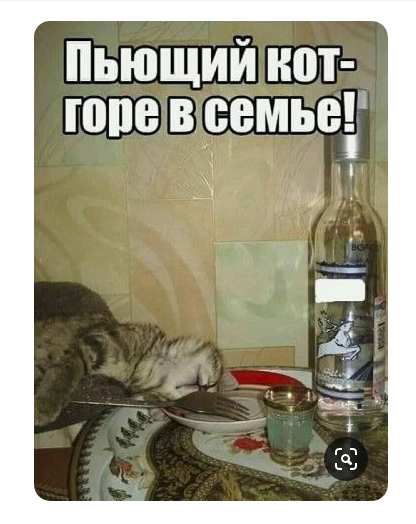 Бредзона 15.11.19