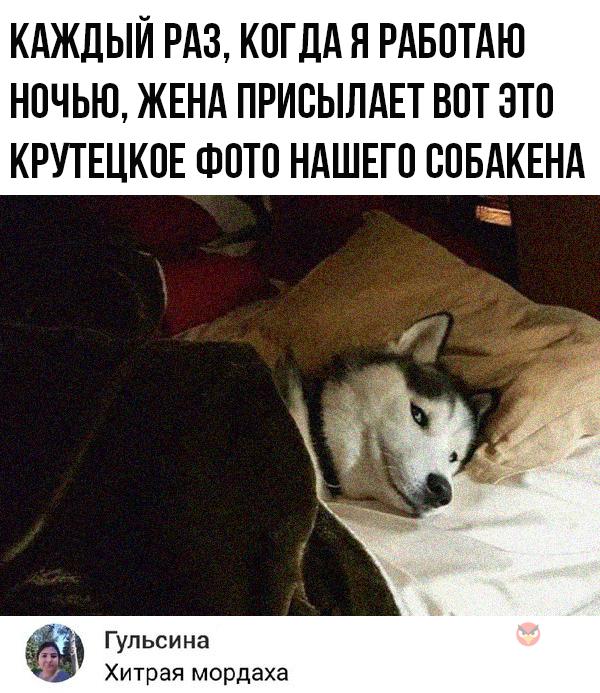 Так себе картинки 26.05.2020