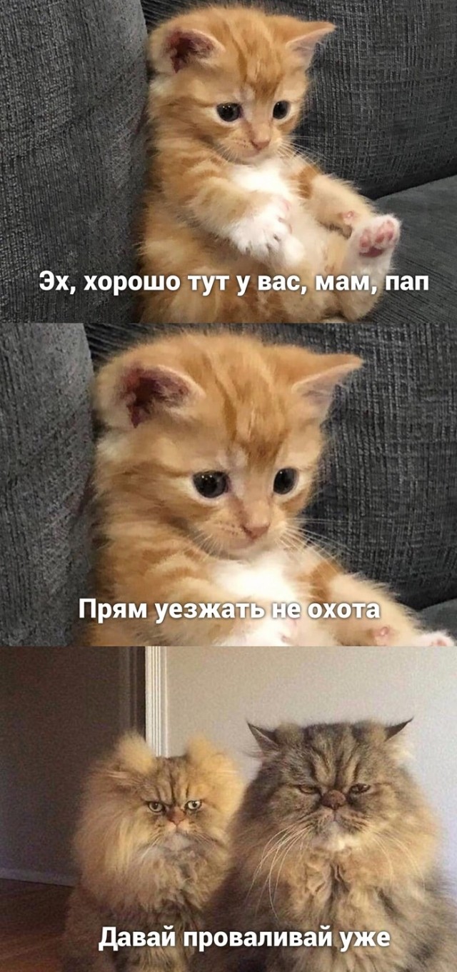 Бредзона 17.11.20