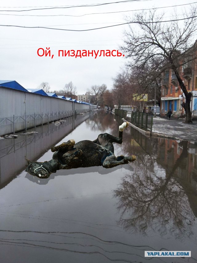 Очень гладкий асфальт (немецкая технология)