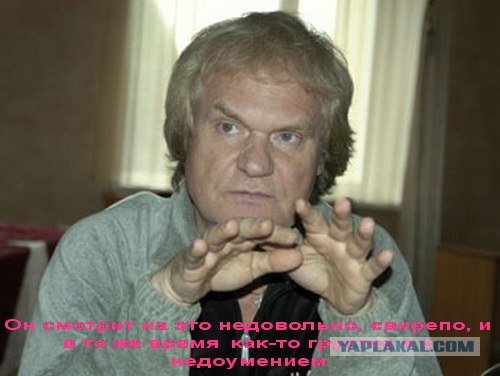 Драка двух котов за кусок колбасы