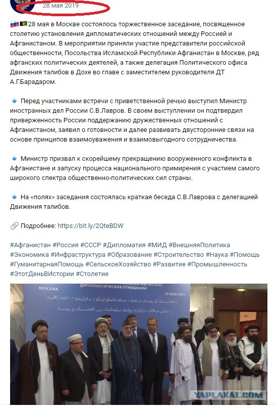 Факты о талибах*