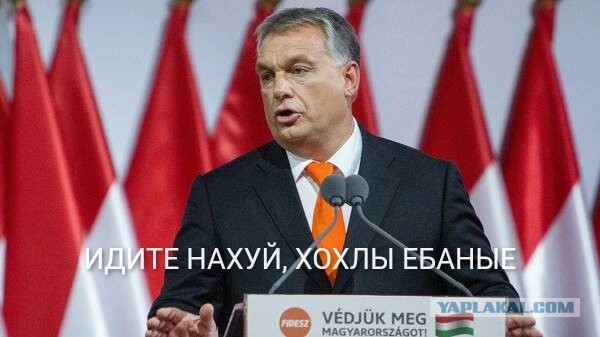 МИД Украины осудил решение Венгрии о контракте с Россией по поставкам газа.