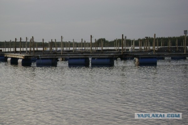 Беломорск: как живет ближний к столицам город на Белом море
