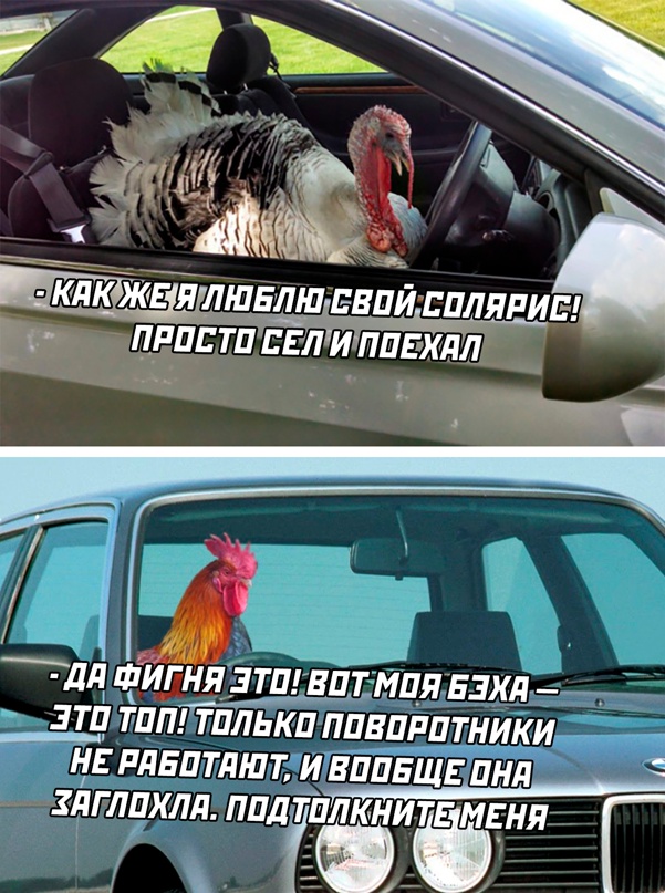 Картинки и мемы для настроения - 15