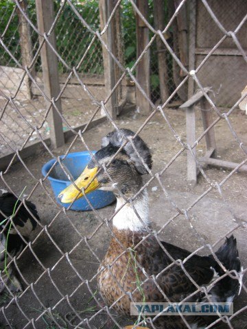 Я люблю Казань!