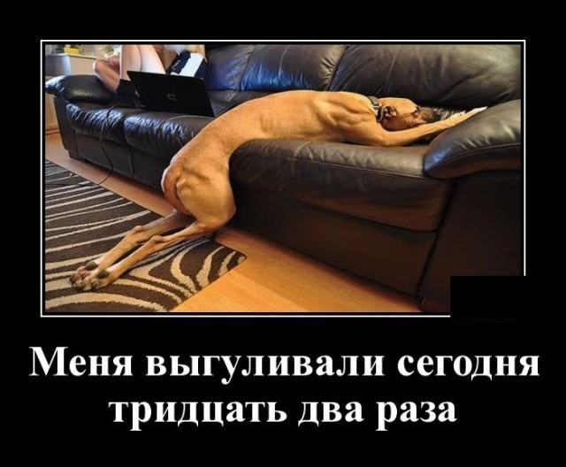 Картинки с надписями 18.08.22