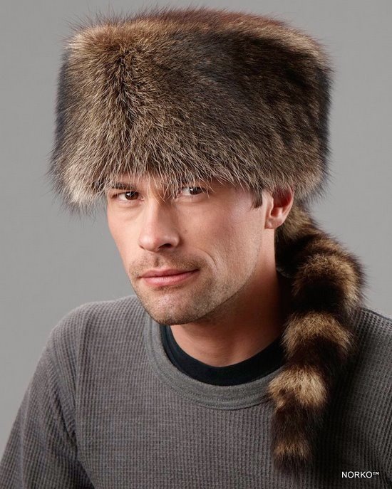 Енот!  Будь бдителен!