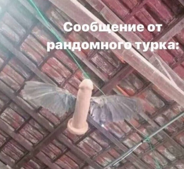 Всего понемногу. От 19.10.23