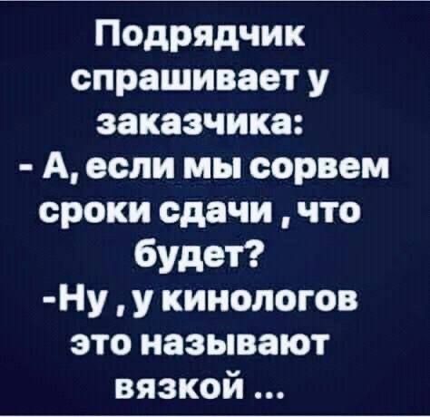 Так себе картинки 26.08.24
