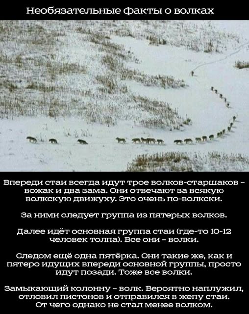 Картинки разные с надписями и без
