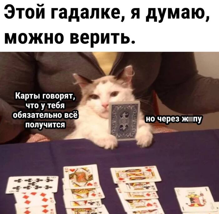 16-летняя московская школьница отдала онлайн-гадалке 3,8 миллиона рублей — за снятие порчи от провала на ЕГЭ