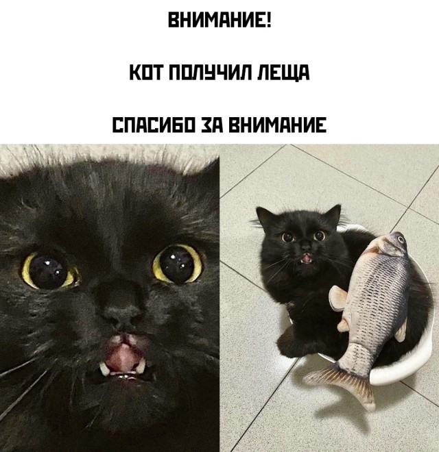 Так себе картинки 29.11.25