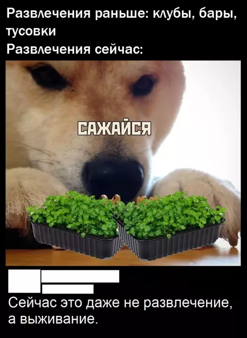 Картиночки, баянчики 16 февраля