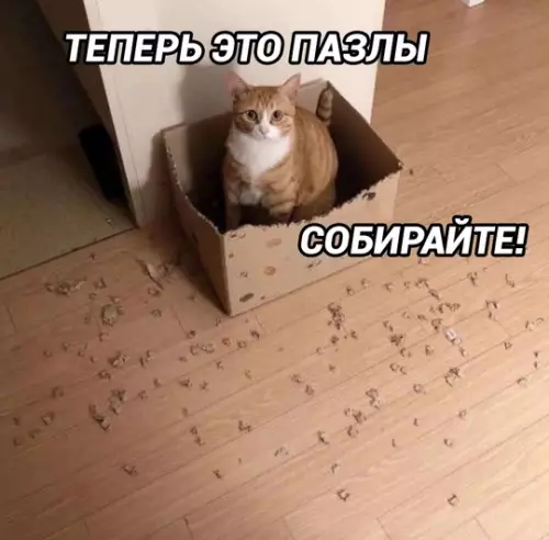 Картиночки, баянчики 12 марта