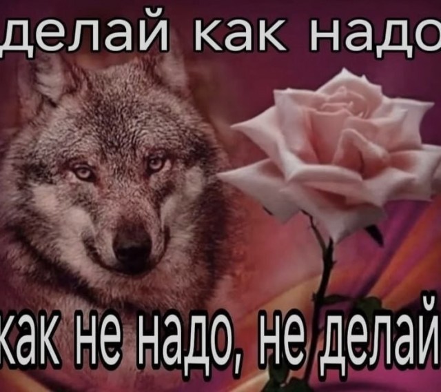 47 начальников внаглую маринуют шалык!