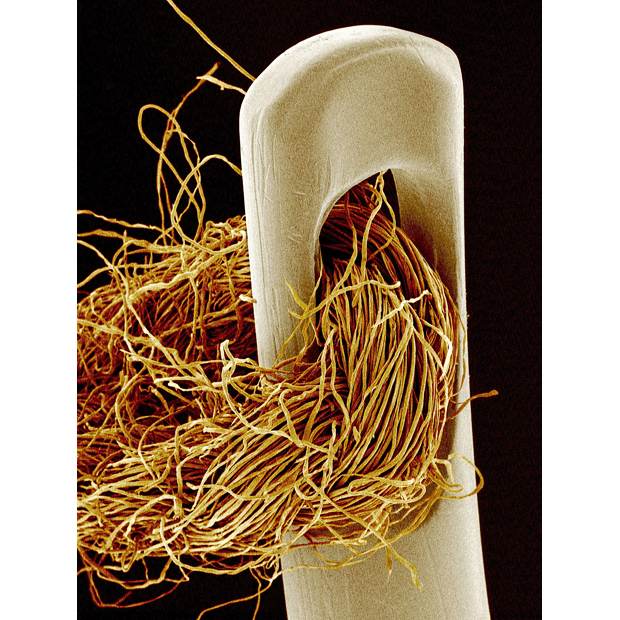 Бытовые предметы очень крупным планом