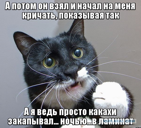 Забавные картинки и комменты из соцсети