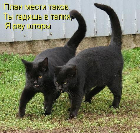 Смешные картинки